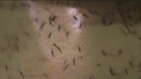 Illinois' first West Nile virus death this year reported