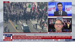 LAPD declares citywide tactical alert amid protests