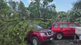 Storm damage in MN, anticipated flooding in St. Paul