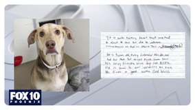 Dog abandoned with a note looks for forever home