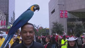 Fun at the Houston Thanksgiving Day Parade