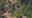 Child killed by falling tree branch at summer camp