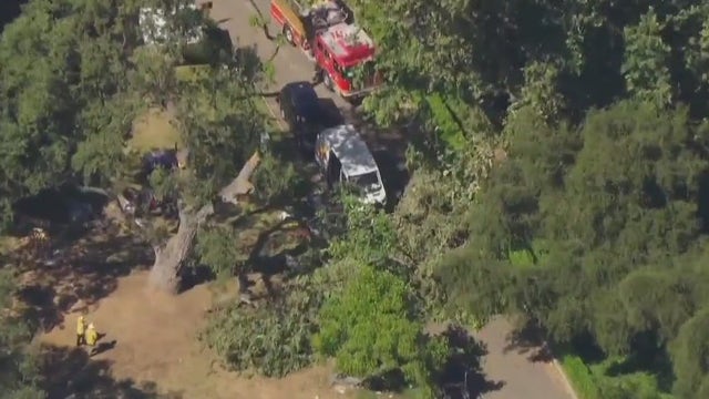 8-year-old boy dies, 4 others hurt after large tree branch falls during kids' summer camp near Calabasas