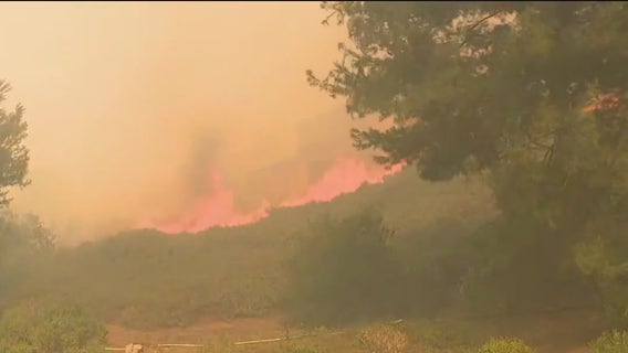 ‘Hydroclimate whiplash’ and LA wildfires