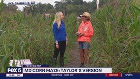 MD Corn Maze: Taylor's Version