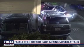 Family tries to fight back against armed carjackers in Auburn