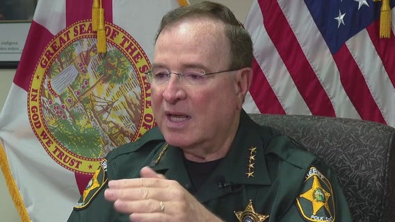 Horses on Polk County property left for weeks without food and water, owner arrested: ‘Severely malnourished’