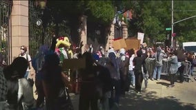 Pro-Palestinian protests at Columbia University