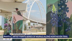 Murals painted along Northhaven Trail in Dallas