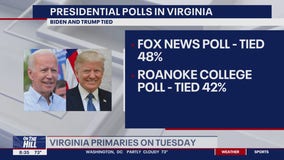 Voters gear up for Virginia primaries on Tuesday