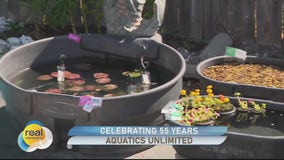 Aquatics Unlimited; Outdoor aquatics