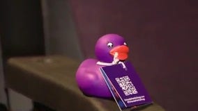 Rubber duck hunt to win free theatre tickets