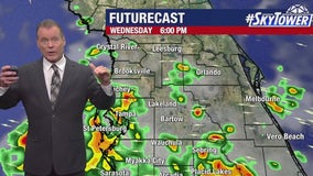 Tampa weather | better rain chances Wednesday