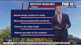 Morning Weather Forecast - 8/8/24