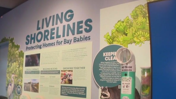 Charley’s World | Tampa Bay Watch Discovery Center