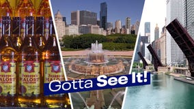 Gotta See It: Bridges and Brews