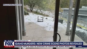 Bryan Kohberger took plea deal days after prosecutors listed his sister as potential witness, filings reveal