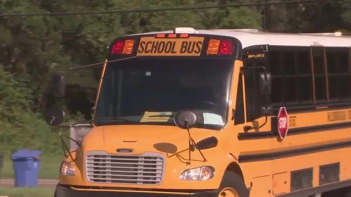 New law expands school bus access