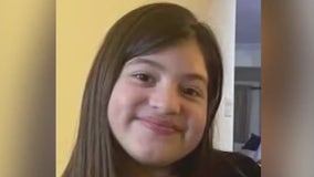 Tony Earls trial: 20-year sentence for Arlene Alvarez's death