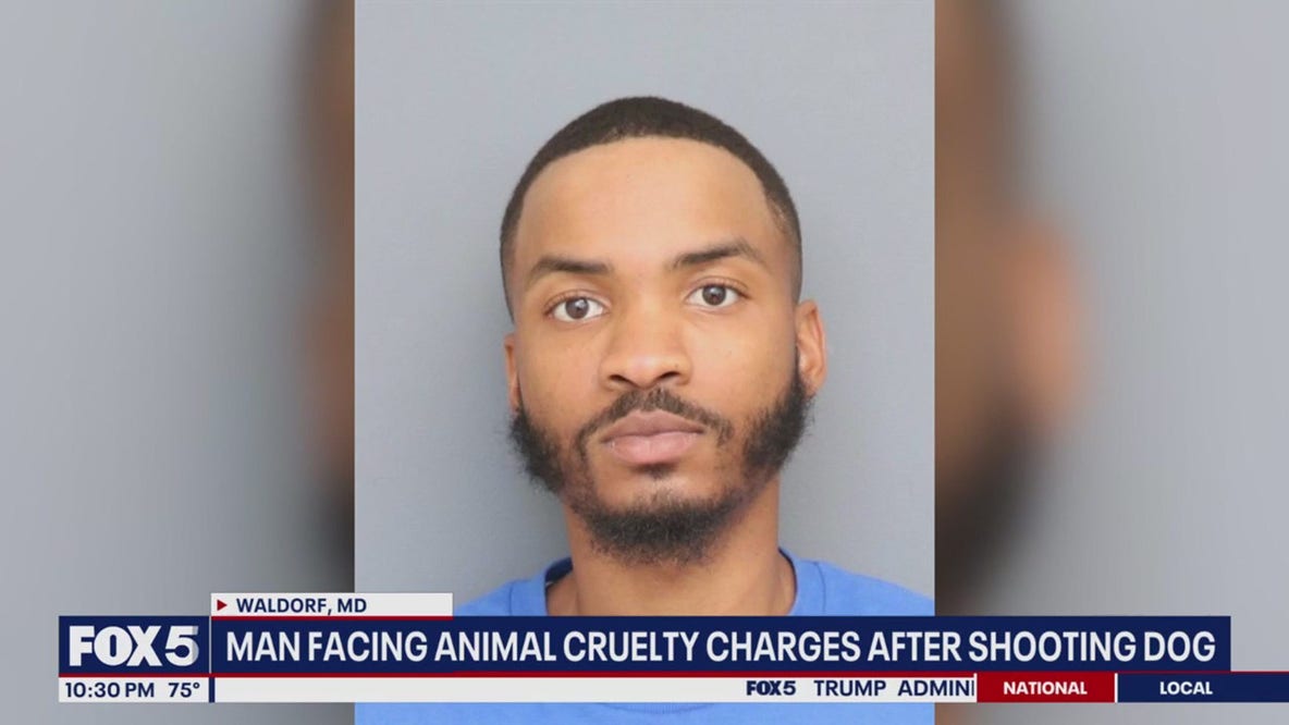 Man charged after shooting dog with AR-15 during neighborhood dispute