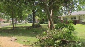 Insurance expert has advice for those suffering storm damage