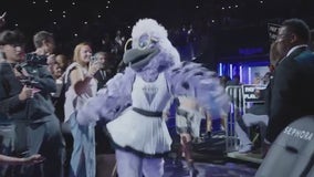 Valkyries reveal new mascot with much fanfare