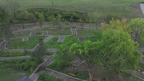 Archdiocese of Chicago introduces natural burials