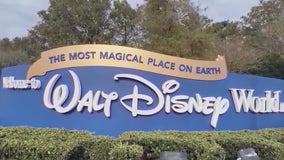 Disney adults: Superfans, nostalgia seekers, or just misunderstood? | ChicagoNOW