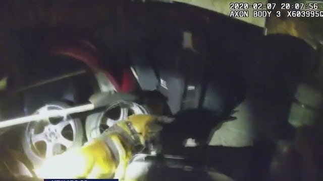 San Jose K-9 failed 22 times to respond to commands before latching onto man's throat: court