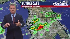 Tampa weather | rainy stretch in store