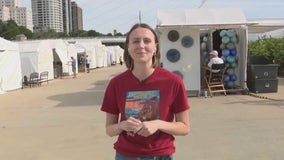 Weekend of fun - Lakefront Festival of Art