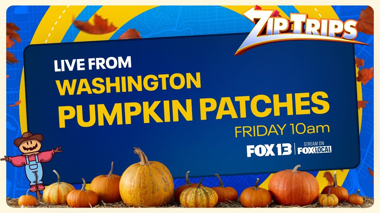 Zip Trips: Local Pumpkin Patches