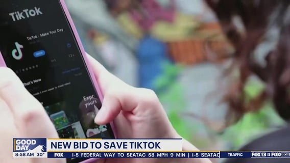 New bid to save TikTok in the US