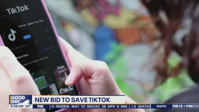 New bid to save TikTok in the US