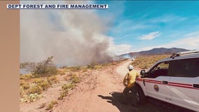 Multiple wildfires are burning across Arizona