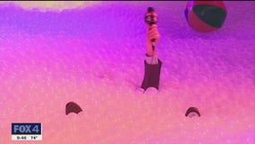 Reporter gets stuck in 'bubble bath' exhibit