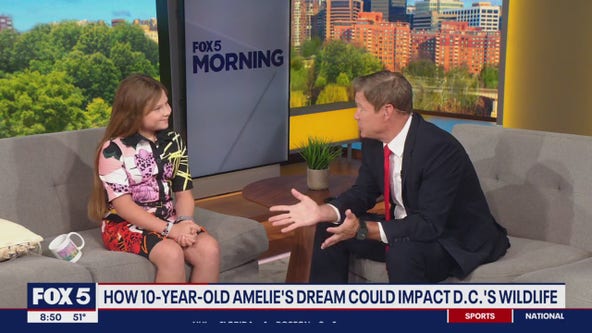 How 10-year-old Amelie's dream could impact D.C's wildlife