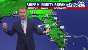 Tampa weather | brief humidity break coming up