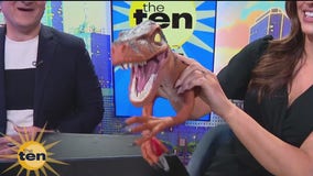 Tisha Campbell, perplexing puppet & more | The Ten