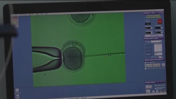 Newsom signs bill requiring insurance companies to cover IVF in California