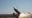 Trump’s approach on Russia-Ukraine war is evolving