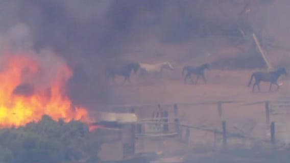 Several wildfires torch parts of Inland Empire
