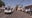 Deadly shooting investigation in Phoenix