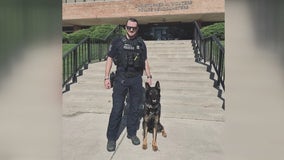 Retired Warren K-9 police officer needs help in fight against cancer