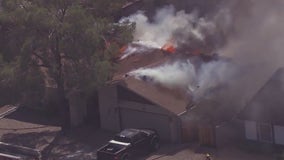 Dog rescued from Chandler house fire