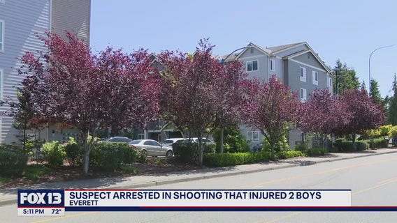 Everett shooting injures 2 boys, suspect arrested