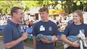 FFA Day at the Minnesota State Fair