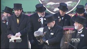 Groundhog Day 2025: Punxsutawney Phil makes his winter prediction