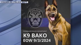 End of watch for retired Chandler PD K-9 Bako