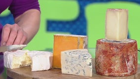 Exploring moldy cheeses